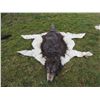 Image 1 : INDIAN WOLF SKIN CEREMONIAL HEADDRESS 3 JOHN BUECHLER F/X SHOP LIQUIDATION
