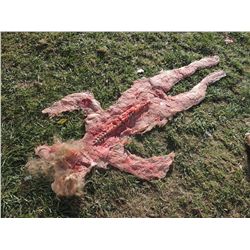 GINGER DEAD MAN 3 SATURDAY NIGHT CLEAVER SCREEN USED BURNED & MELTED FEAMALE CORPSE