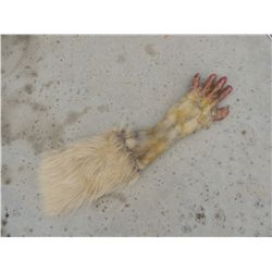 HYENAS INSERT ARM JOHN BUECHLER F/X SHOP LIQUIDATION