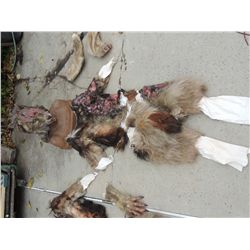 SHAPE SHIFTERS WEREWOLF COSTUME 4 JOHN BUECHLER F/X SHOP LIQUIDATION