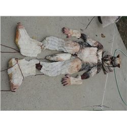 SHAPE SHIFTERS COMPLETE WEREWOLF COSTUME 5 JOHN BUECHLER F/X SHOP LIQUIDATION