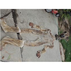 HYENAS COMPLETE HERO HYENA COSTUME WITH STATIC MASK JOHN BUECHLER F/X SHOP LIQUIDATION