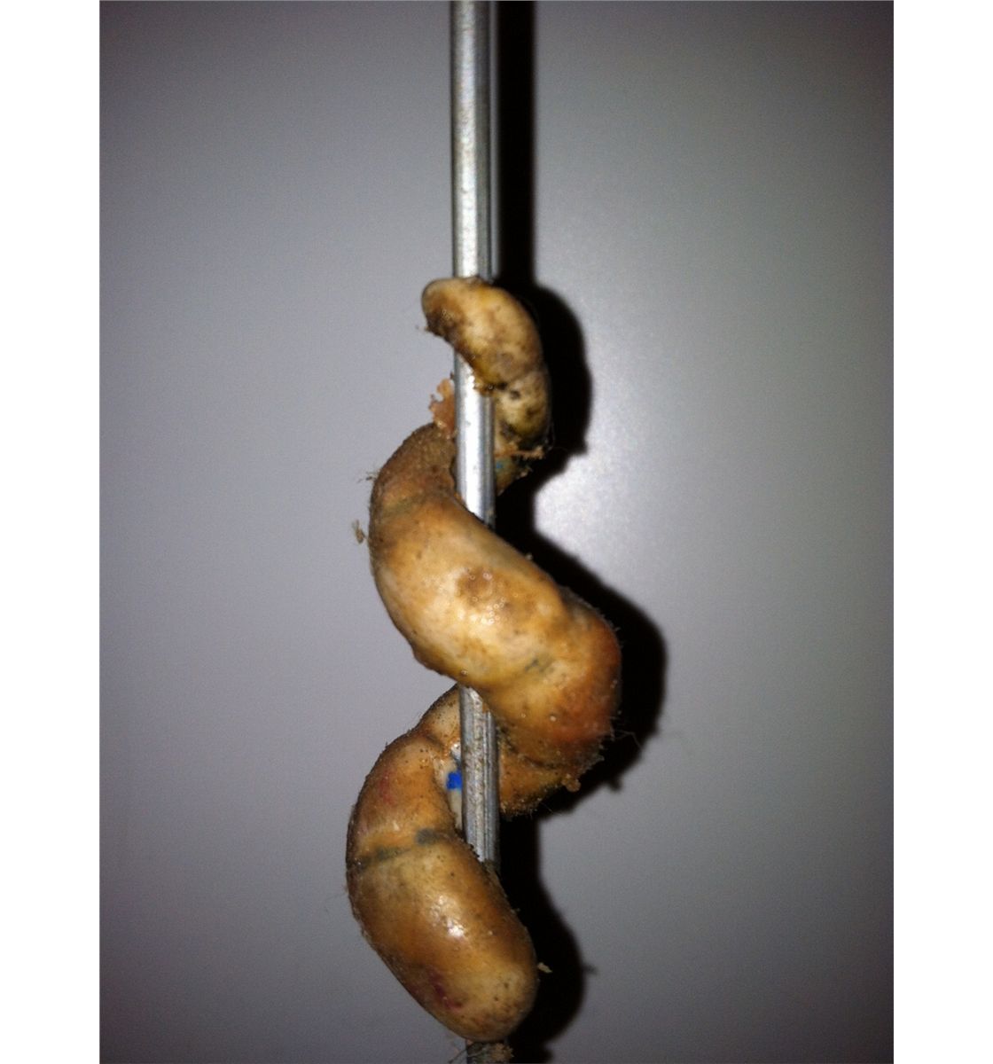 HELLRAISER III HELL ON EARTH SCREEN USED & MATCHED LONG PINHEAD NAIL