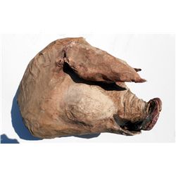 SCREAM 4 NEW DECADE NEW RULE SCREEN USED & MATCHED PIG HEAD COURTNEY COX