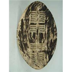 A Zulu shield