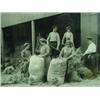 Image 2 : Twenty photographic images of the Womans Corps during the 1914-18 war