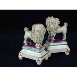 A pair of Staffordshire pottery poodles.  10cm high Est.250/30