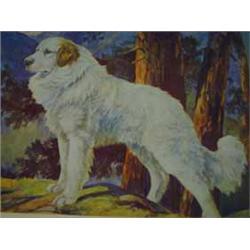 'The Dog Encyclopaedia' in three volumes pub'd by Hutchinson & Co Clifford L. B. Hubbard 'Dogs In Br
