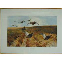 After Thomas Blinks 'GROUSE SHOOTING' Coloured photographic print