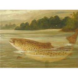 A. Roland Knight A PAIR OF FISH STUDIES