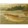 Image 1 : A. Roland Knight A PAIR OF FISH STUDIES