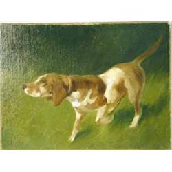 Arthur Heyer (1872-1931) STUDY OF A POINTER signed
