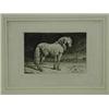Image 1 : Paulus Potter STUDY OF A DAPPLE GREY HORSE dry point etching
