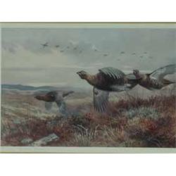 Three coloured prints by Archibald Thornburn Snipe