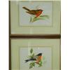 Image 1 : Trevor Ward A MALE BULLFINCH AND A COCK ROBIN two watercolours and pencil