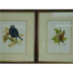 Trevor Ward A WREN AND A STARLING two watercolours and pencil