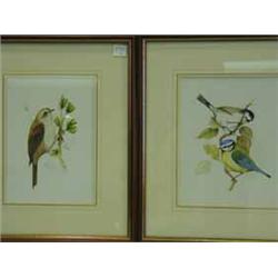 Trevor Ward A COAL TIT AND A BLUE TIT AND A WARBLER two watercolours and pencil