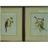 Image 1 : Trevor Ward A COAL TIT AND A BLUE TIT AND A WARBLER two watercolours and pencil