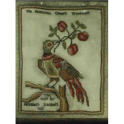 An early 19th century needlework picture 'The beautiful Chinese woodcock'