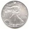 Uncirculated Silver Eagle 2005