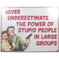 9846 - NEVER UNDERESTIMATE THE POWER OF STUPID PEOPLE FUNNY METAL SIGN
