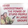 Image 1 : 9846 - NEVER UNDERESTIMATE THE POWER OF STUPID PEOPLE FUNNY METAL SIGN