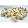 Image 1 : 11165 - LOT OF 313.50 CTS. WHITE TURQUOISE HOWLITE NUGGETS