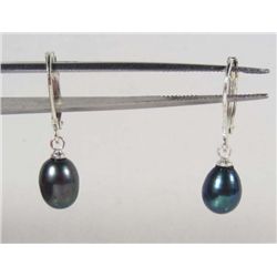 10487 - AKOYA BLACK PEARL EARRINGS