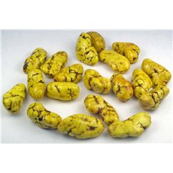 11169 - LOT OF 336.00 CTS YELLOW TURQUOISE HOWLITE NUGGETS
