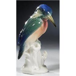 Eisvogel