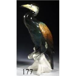 Kormoran