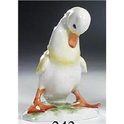 Junge Ente (stehend)