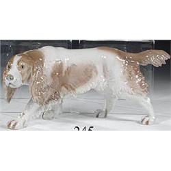 Spaniel