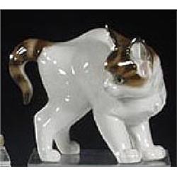 Katze