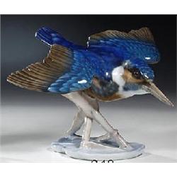 Eisvogel