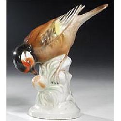 Vogel
