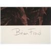 Image 3 : Something Rich and Strange Brian Froud Signed Art Print