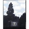 Image 1 : Oil Print Art on Textured Canvas Dim Lit House