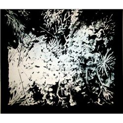 Peter Alexander Signed LE Art Print San Blas III