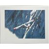 Image 1 : Harry Schaare Signed and Numbered In Flight Litho Print