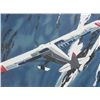 Image 2 : Harry Schaare Signed and Numbered In Flight Litho Print