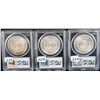 Image 2 : THREE MORGAN DOLLARS - PCGS MS64 - 1889,  1899-0, 1900-0 - SOLD  PER COIN TIMES  3