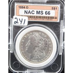 1884-0 MORGAN DOLLAR -NAC MS66