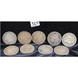 10 MORGAN DOLLARS FROM SAFE DEPOSIT - MIXED  DATES AND MINTS - SOLD PER COIN TIMES 10