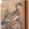 Image 1 : George III gilt framed watercolour of mandarin duck with gilt and black glass insert, 10x9" £100...