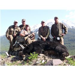 BLACK BEAR HUNT FOR A FAMILY