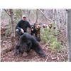 Image 3 : BLACK BEAR HUNT FOR A FAMILY