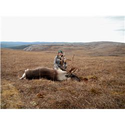 MOUNTAIN CARIBOU HUNT