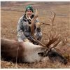 Image 2 : MOUNTAIN CARIBOU HUNT
