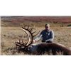 Image 4 : MOUNTAIN CARIBOU HUNT